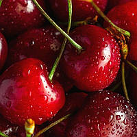 Ароматизатор Вишнева бомба 30 мл.