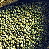 Обсмажування кави Mammy CoffeeTM, фото 2