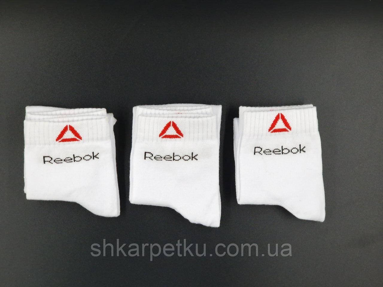 Білі шкарпетки бавовна Sport Soks "R"  для жінок стрейчеві середні спортивні 36-39 12 пар/уп білі, фото 1