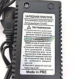 Зарядний пристрій для садового електричного акумуляторного обприскувача 12 V, фото 8