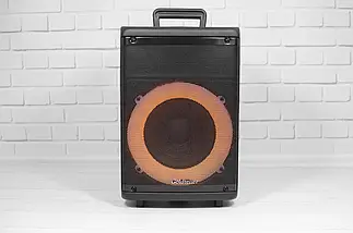 Портативна акустична система Goldteller GT-6010 30W/ з лід підсвічуванням динаміка, фото 4