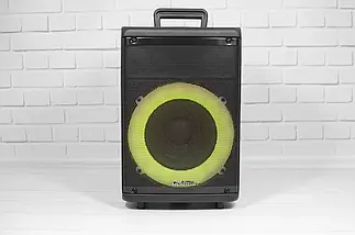 Портативна акустична система Goldteller GT-6010 30W/ з лід підсвічуванням динаміка, фото 6