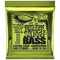 Ernie Ball 2852 Regular Slinky Short