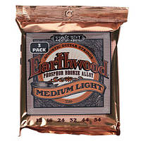 Ernie Ball Earthwood Phosphor Bronze 3