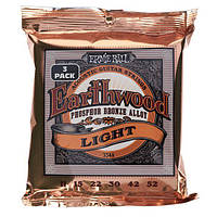 Ernie Ball Earthwood Phosphor Bronze 3548