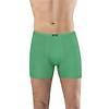 Мужские трусы - шорты Anit bamboo 1273 XL green