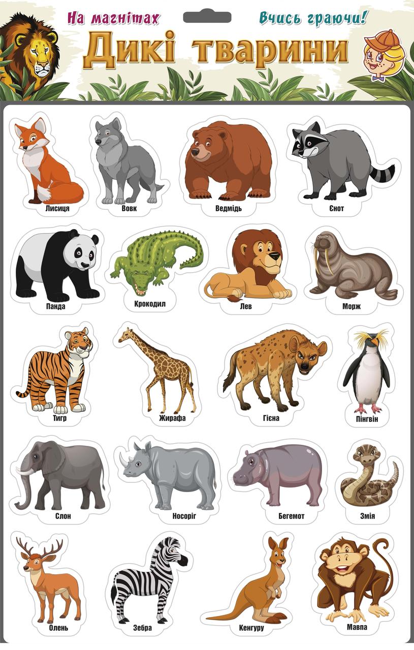 Ігри на магнітах Дикі тварини, МД