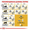 Royal Canin (Роял Канін) Sphynx - Сухий корм для дорослих кішок породи Сфінкс 10 кг, фото 5