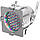 Stairville LED PAR 56 Pol. 151 LEDs RGB, фото 3