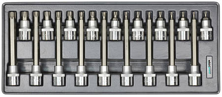 Набір головок зі вставкою Torx 1/2" Т20-Т60 18од Whirlpower AN-SK55, фото 3