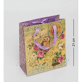 WE-02 Пакет "Сова" середній