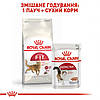 Royal Canin (Роял Канін) Fit -32 - Сухий корм для дорослих кішок у хорошій формі 10 кг, фото 7