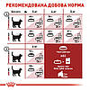 Royal Canin (Роял Канін) Fit -32 - Сухий корм для дорослих кішок у хорошій формі 10 кг, фото 6