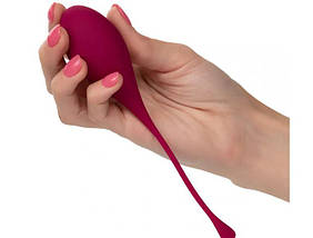 Набір вагінальних кульок California Exotics Kegel Training 5-Piece Set, фото 6