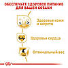 Royal Canin (Роял Канін) Golden Retriever Adult - корм для голден ретріверів 3 кг, фото 4