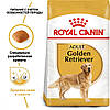 Royal Canin (Роял Канін) Golden Retriever Adult - корм для голден ретріверів 3 кг, фото 3