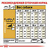 Royal Canin (Роял Канін) Golden Retriever Adult - корм для голден ретріверів 3 кг, фото 7