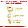 Royal Canin (Роял Канін) West Highland White Terrier 21 - Сухий корм для вест-хайленд-уайт-тер'єрів 500гр, фото 4