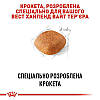 Royal Canin (Роял Канін) West Highland White Terrier 21 - Сухий корм для вест-хайленд-уайт-тер'єрів 500гр, фото 5