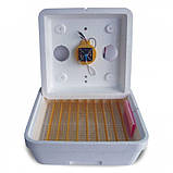 Інкубатор Веселої сім'ї, 12ВДВ 12 В (влагометр, вентилятор) з механізмом автоматичної революції инкубат, фото 2