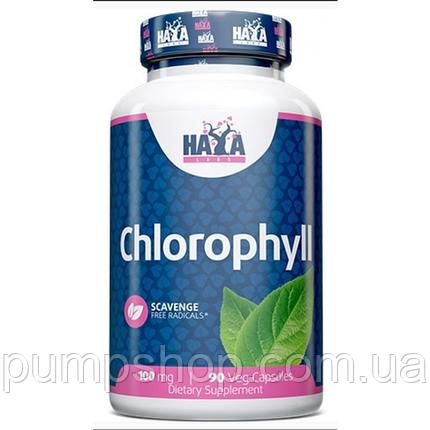 Хлорофіл Haya Labs Chlorophyll 100 мг 90 капс., фото 2