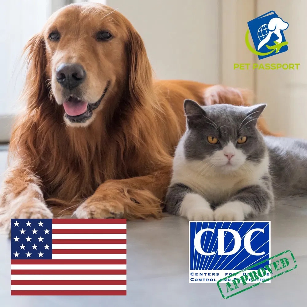 Консультация по переезду в США с собакой, ветеринарные документы, получение разрешения CDC. Import permit CDC - фото 1 - id-p1796246394