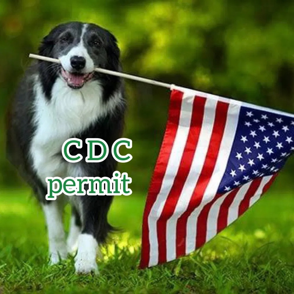 Консультация по переезду в США с собакой, ветеринарные документы, получение разрешения CDC. Import permit CDC - фото 2 - id-p1796246394