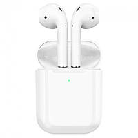 Навушники Bluetooth HOCO EW41 у кейсі, білі