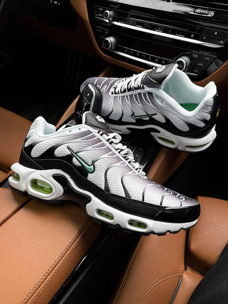 Nike Air Max Plus TN gray mint