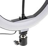 LED Ring Supplementary Lamp J 360 36 см Blawithk, фото 4