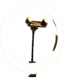 LED Ring Supplementary Lamp J 360 36 см Blawithk, фото 3