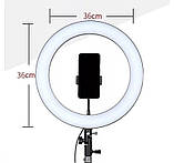 LED Ring Supplementary Lamp J 360 36 см Blawithk, фото 6