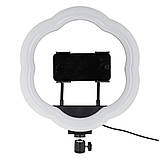 Оригінальна багатофункціональна лампа Ring RGB LC 318 чорна, фото 5