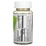 VegLife, Залізо рослинного походження, 25 мг, 100 таблеток, фото 2