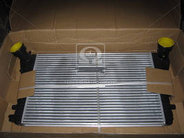 Радіатор інтеркулера Skoda Octavia, VW Caddy , Passat 04- (Tempest, Тайвань)