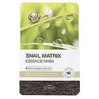 Scinic, Snail Matrix Essence, маска для лица, 1 шт., 20 мл (0,67 жидк. унции) Днепр