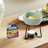 Віск для аромалампи "Горіховий кекс із кардамоном" Yankee Candle 22 г, фото 2