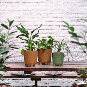 Горщик пластмасовий ARIA JUMPER ECO натуральне дерево 18см., фото 4