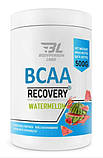 Амінокислоти ВСАА Bodyperson Labs BCAA Recovery 500 грам Смак : Orange, фото 3