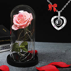 Троянда в колбі 20 см з LED підсвічуванням Рожева + Подарунок Кулон I Love you / Нічник троянда в скляній колбі