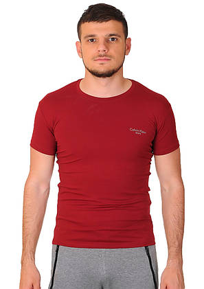 Футболка чоловіча Calvin Klein 24-718-0 (24-B718-0) бордова, фото 3