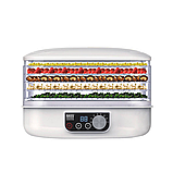 Сушарка для овочів та фруктів 250 Вт, з регульованими лотками Bass Polska BH 10602, фото 3