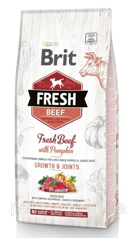 Корм для цуценят великих порід Brit Fresh Beef Pumpkin Puppy Large (Бріт Фреш яловичина, гарбуз)12кг