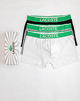 Нижнее белье Lacoste 3 штуки, набор мужские трусы хлопок Лакост отличный подарок вашему мужчине!