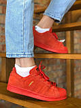Жіночі кеди Adidas Superstar Red червоний демісезонні повсякденні кросівки адідас суперстар модні стильні, фото 3