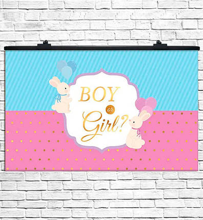 Плакат на свято "Boy or Girl" розмір - 75х120 см., фото 1