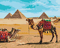 Картина Малювання за номерами тварини Єгипетський колорит живопис на полотні 40х50см Brushme BS52718