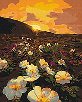 Картина Рисование по номерам Пейзаж Природа Цветы солнца 40х50 Набор для росписи Лето Brushme BS31137