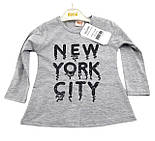 Спортивний костюм дитячий Туреччина 2, 3, 4, 5 років для дівчинки трикотажний сірий (КДМ29), фото 2