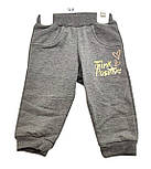 Спортивний костюм дитячий Туреччина 1, 2 роки для дівчинки трикотажний рожевий (КДМ36), фото 3